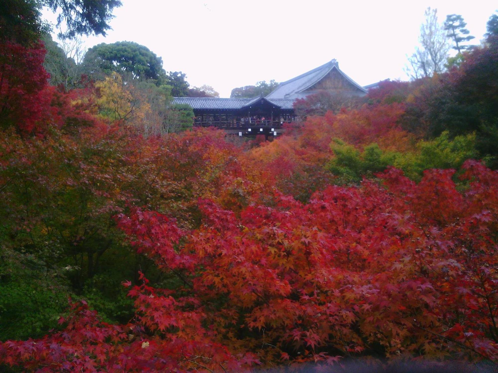 Kamuroan Kyoto Buitenkant foto