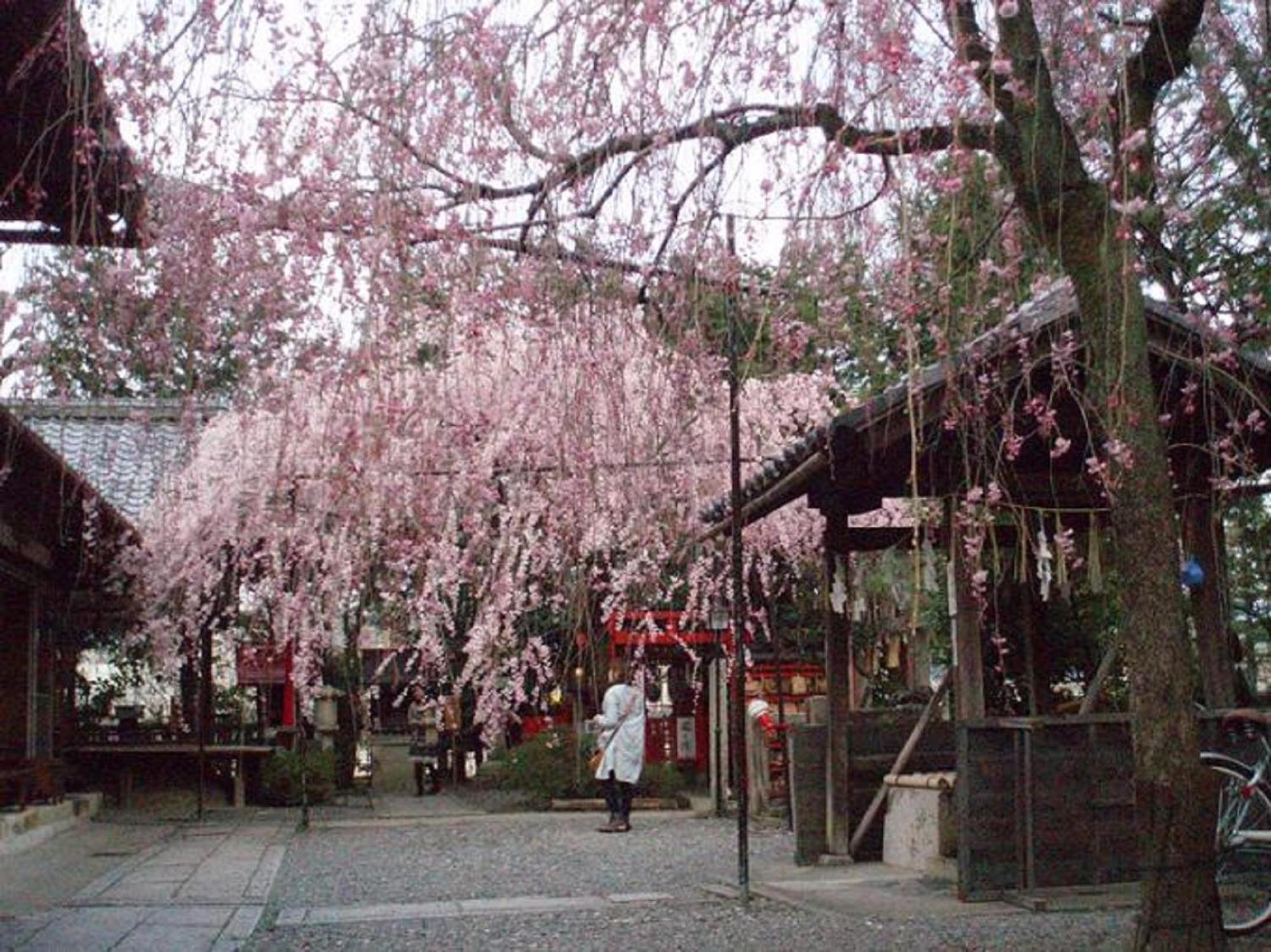 Kamuroan Kyoto Buitenkant foto